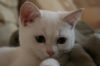 Filename=chat0004.JPG
Filesize=68KB
Dimensions=1024x683
Date added=May 30, 2007 chat0004.JPG