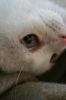 Filename=chat0006.JPG
Filesize=71KB
Dimensions=683x1024
Date added=May 30, 2007 chat0006.JPG